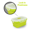 GLIDER LB Green Bento Premium Lunch Box & Food Storage Containers